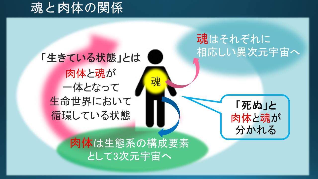 25日目午前 死生観 死と一体となって 生きる １ヶ月間の真学校 木の花ファミリー